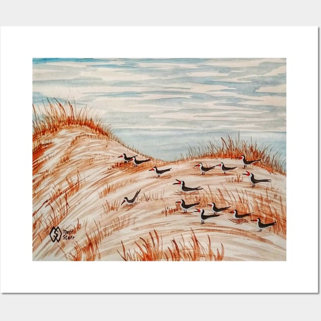 Black Skimmers Nesting Colony Wall Art by Matt Starr Fine Art